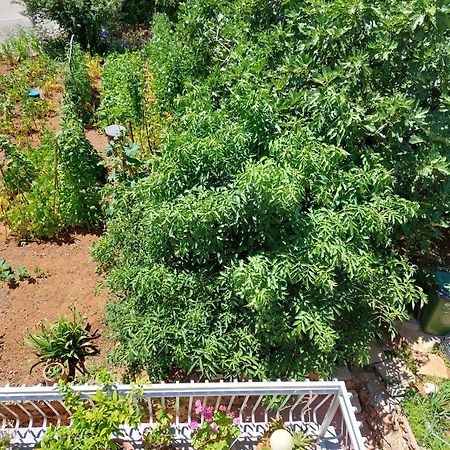 Apartmani Toni Vodice Eksteriør billede
